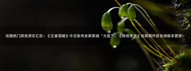 奇亿娱乐4开户：近期热门游戏资讯汇总：《王者荣耀》今日发布全