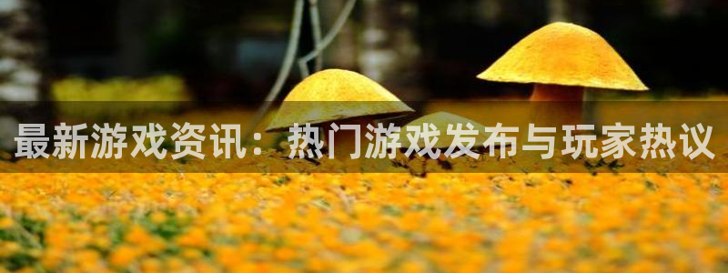 奇亿娱乐注册：最新游戏资讯：热门游戏发布与玩家热议