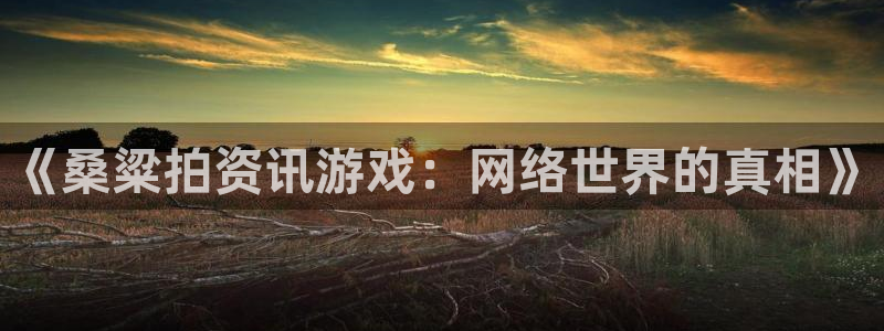 奇亿娱乐Ii：《桑粱拍资讯游戏：网络世界的真相》