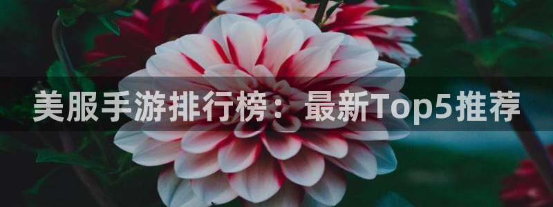 奇亿娱乐注册地址：美服手游排行榜：最新Top5推荐