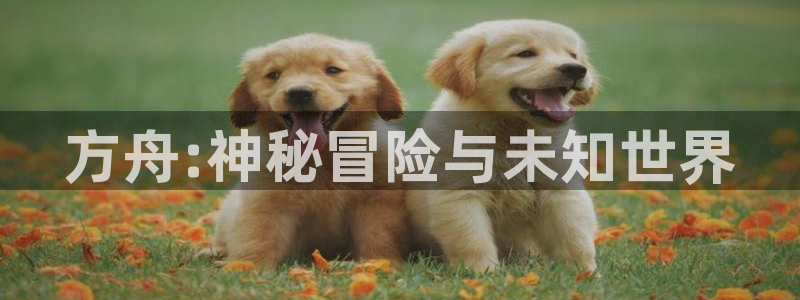 奇亿娱乐哪 692687